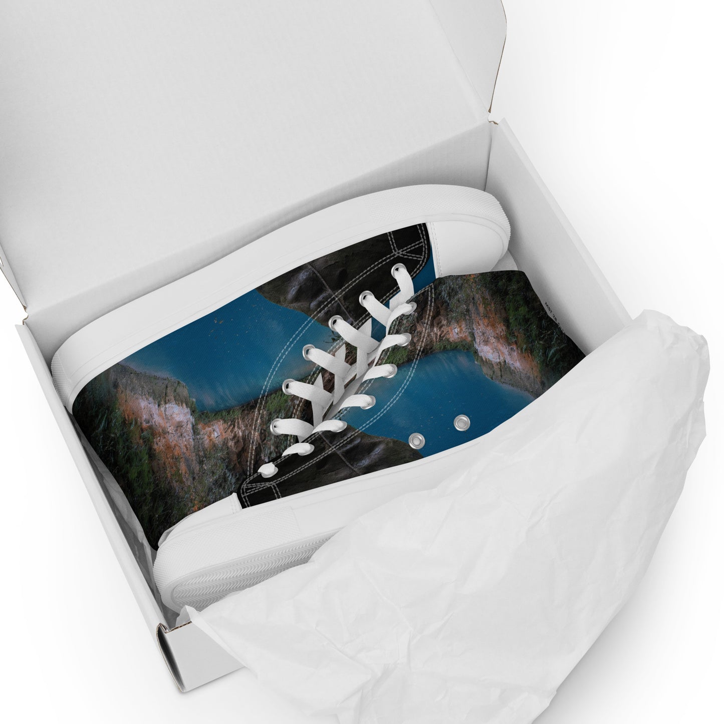 Men’s high top canvas shoes ( Pye Poudre Collection )