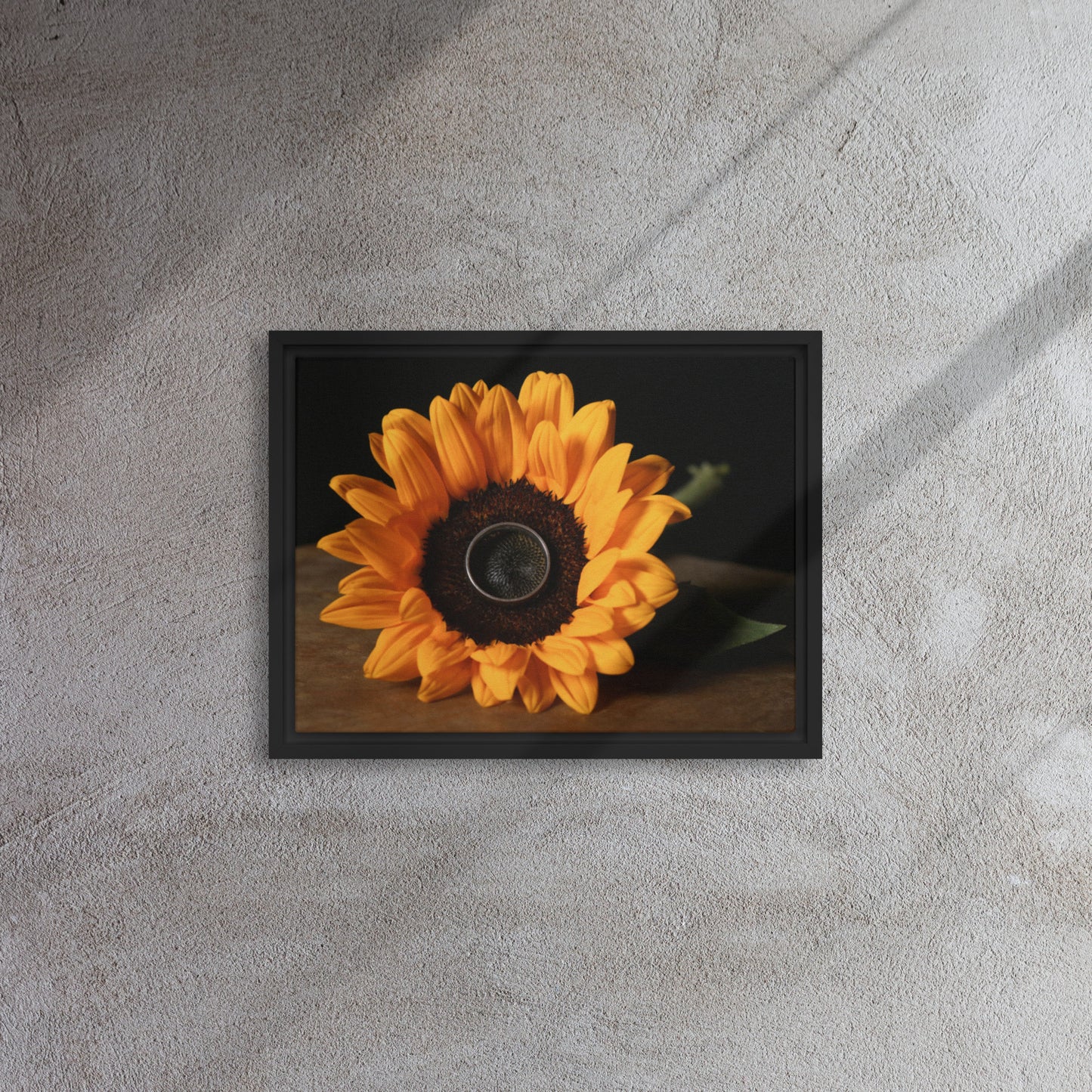 Framed canvas ( Sunflower )