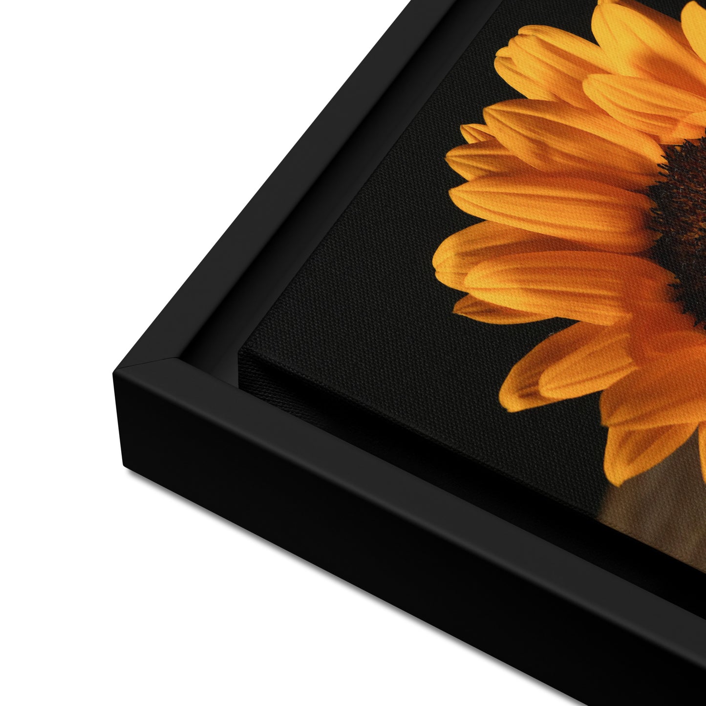 Framed canvas ( Sunflower )