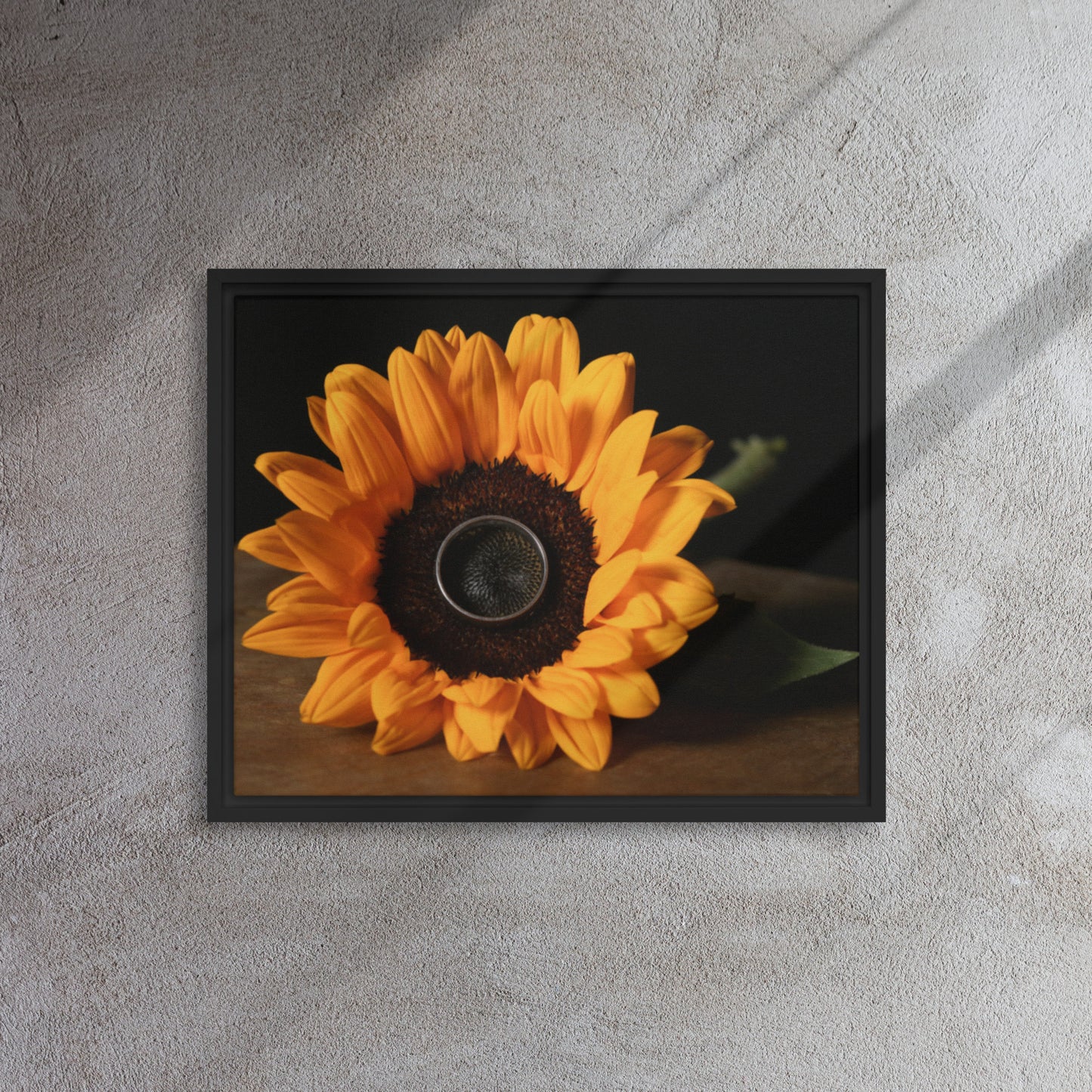 Framed canvas ( Sunflower )