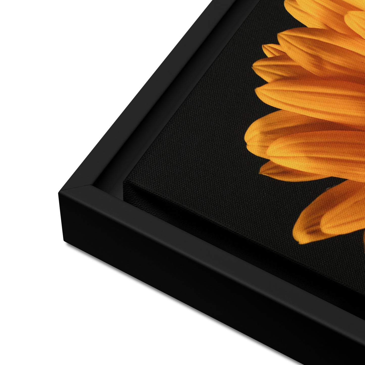 Framed canvas ( Sunflower )