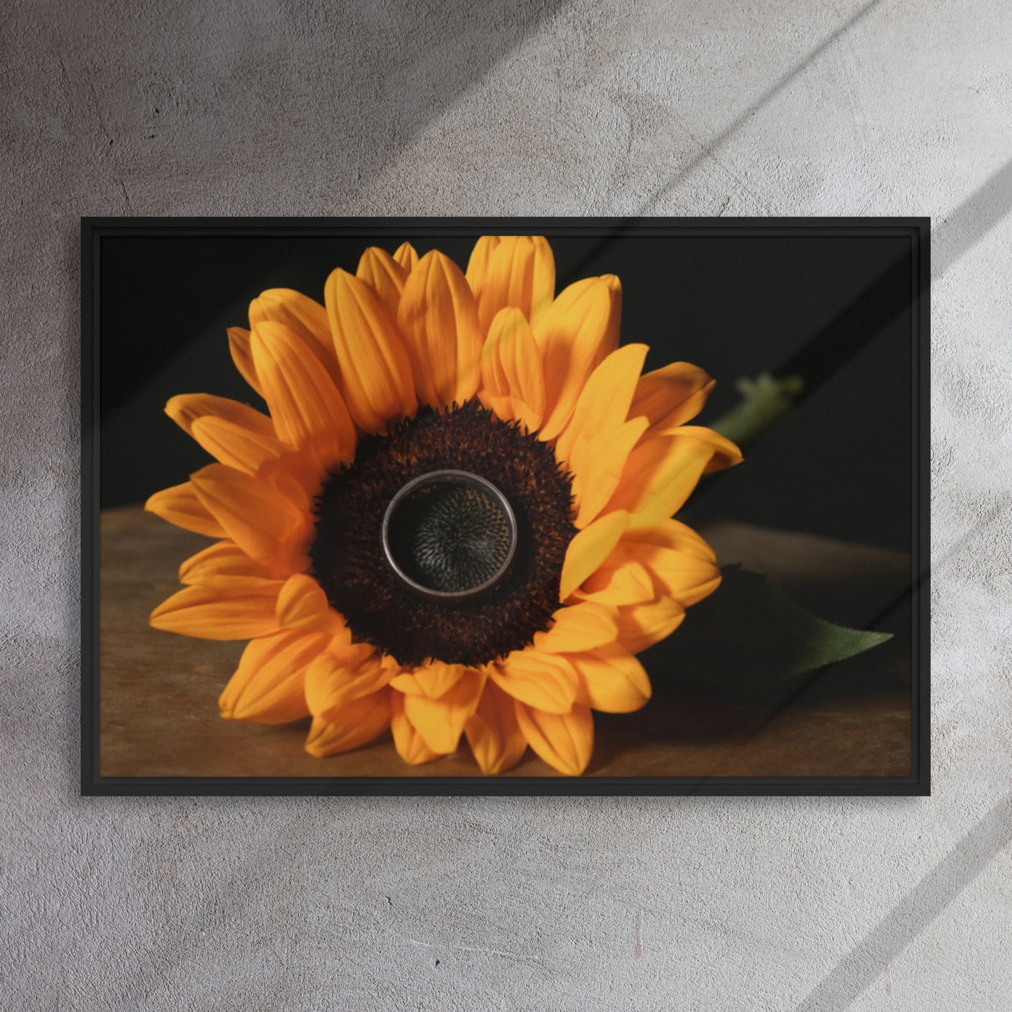 Framed canvas ( Sunflower )