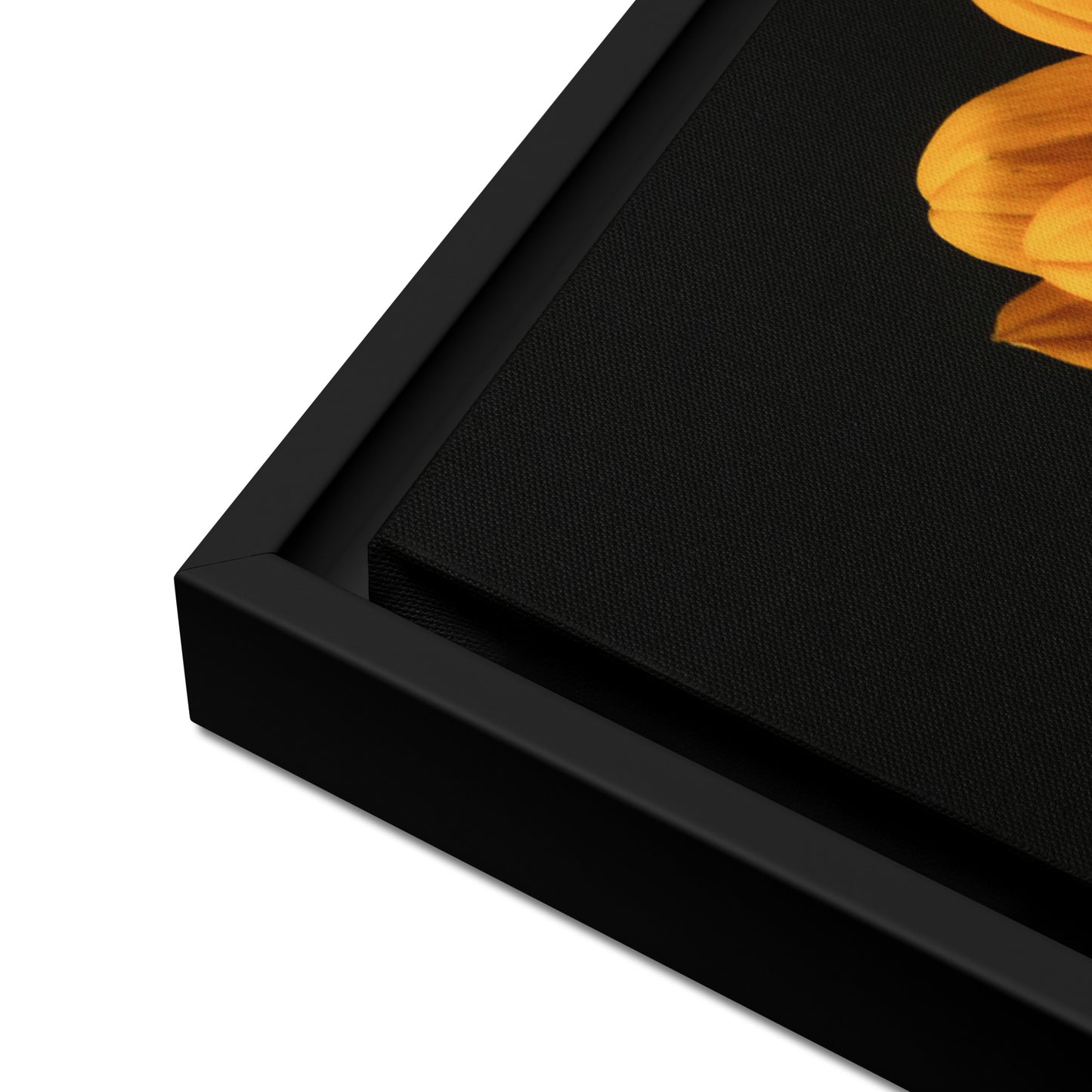 Framed canvas ( Sunflower )
