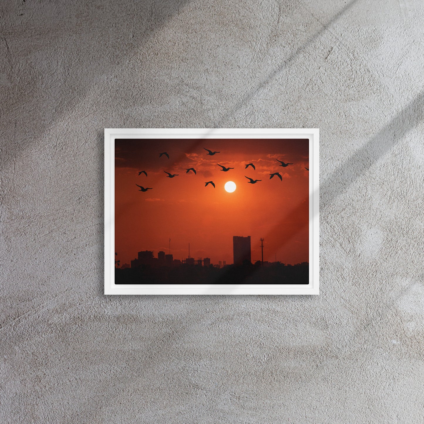 Framed canvas