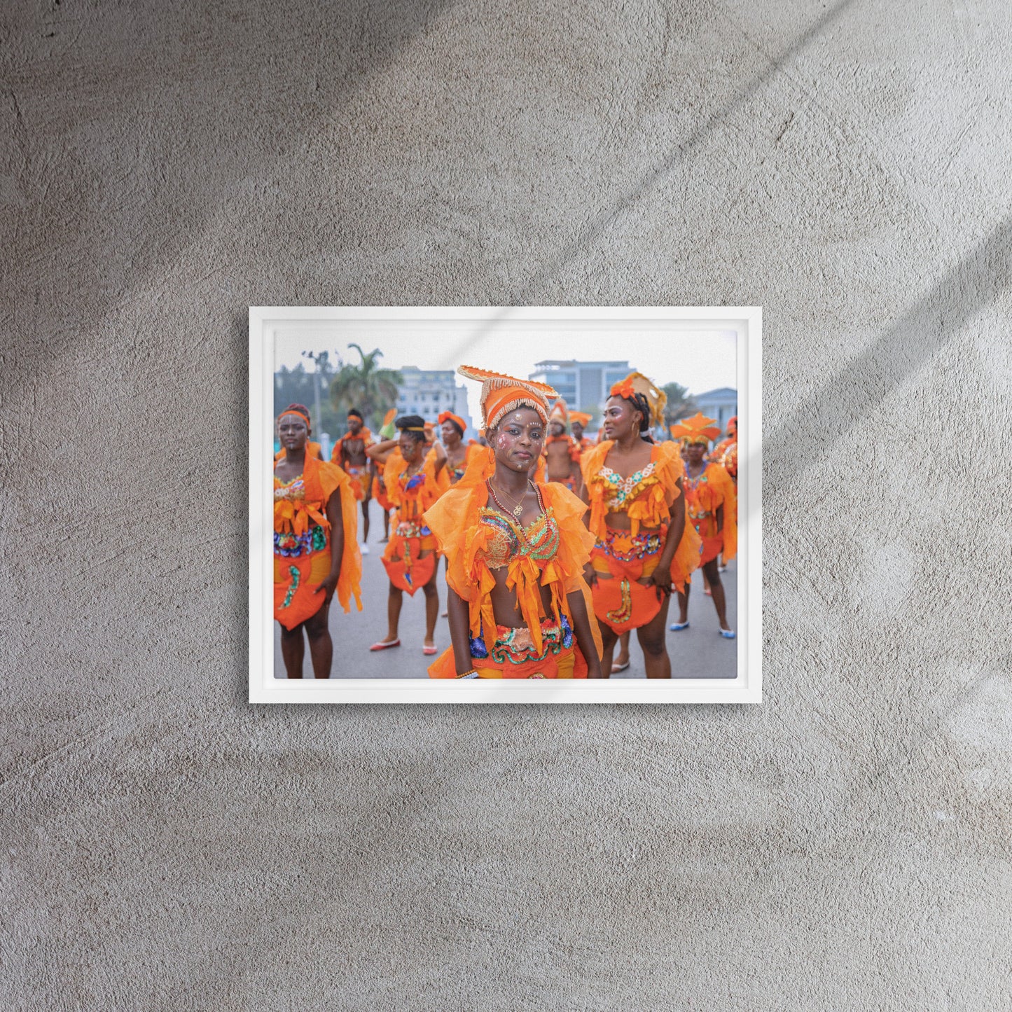 Framed canvas ( Haitian Carnival )