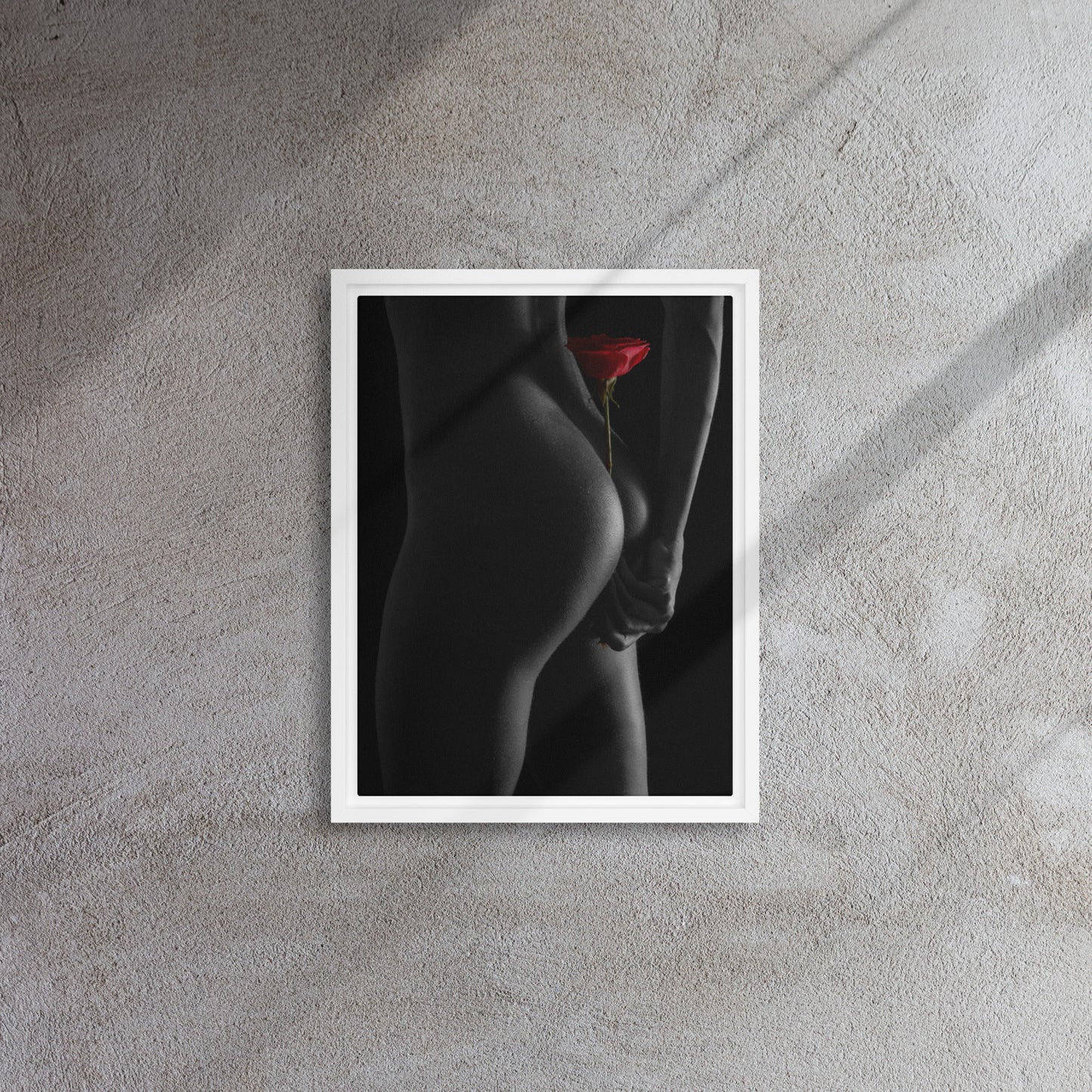 Framed canvas ( Fine Art, Nude Photography )