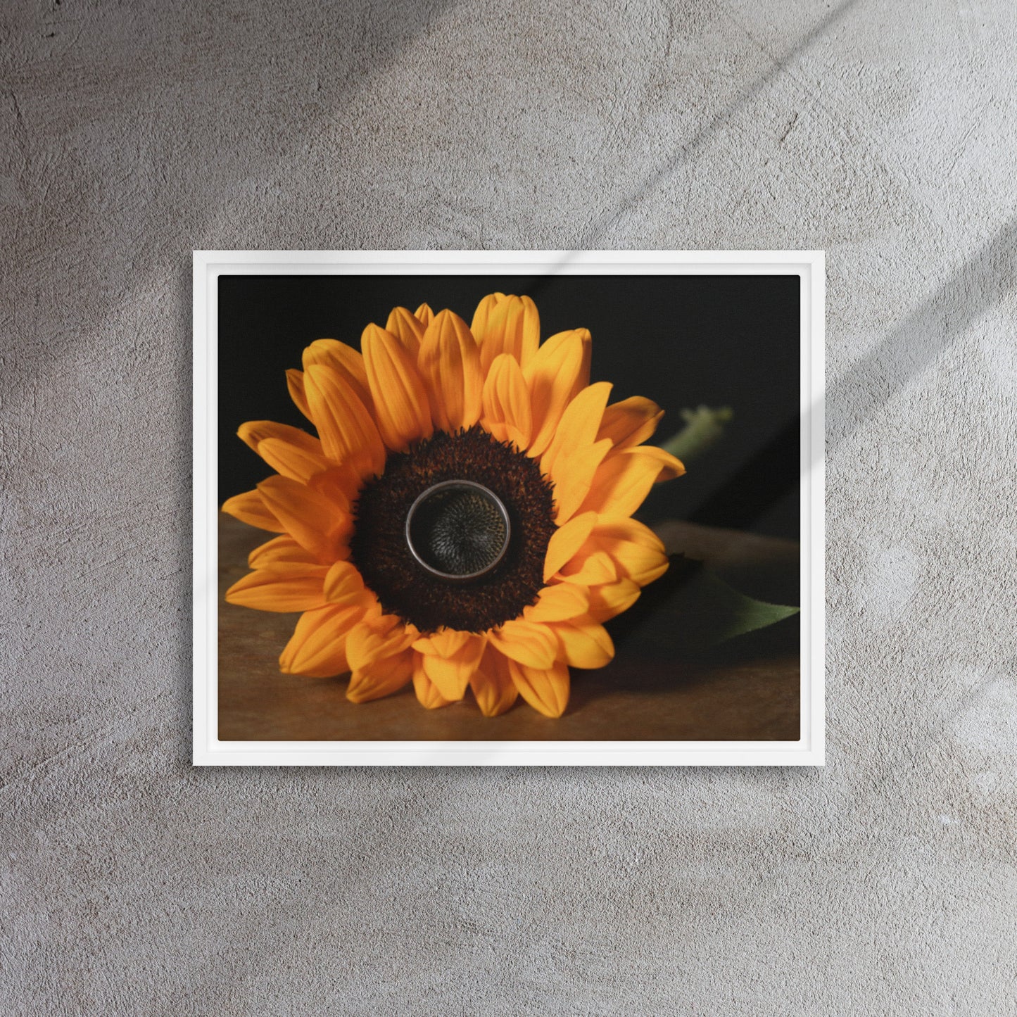 Framed canvas ( Sunflower )