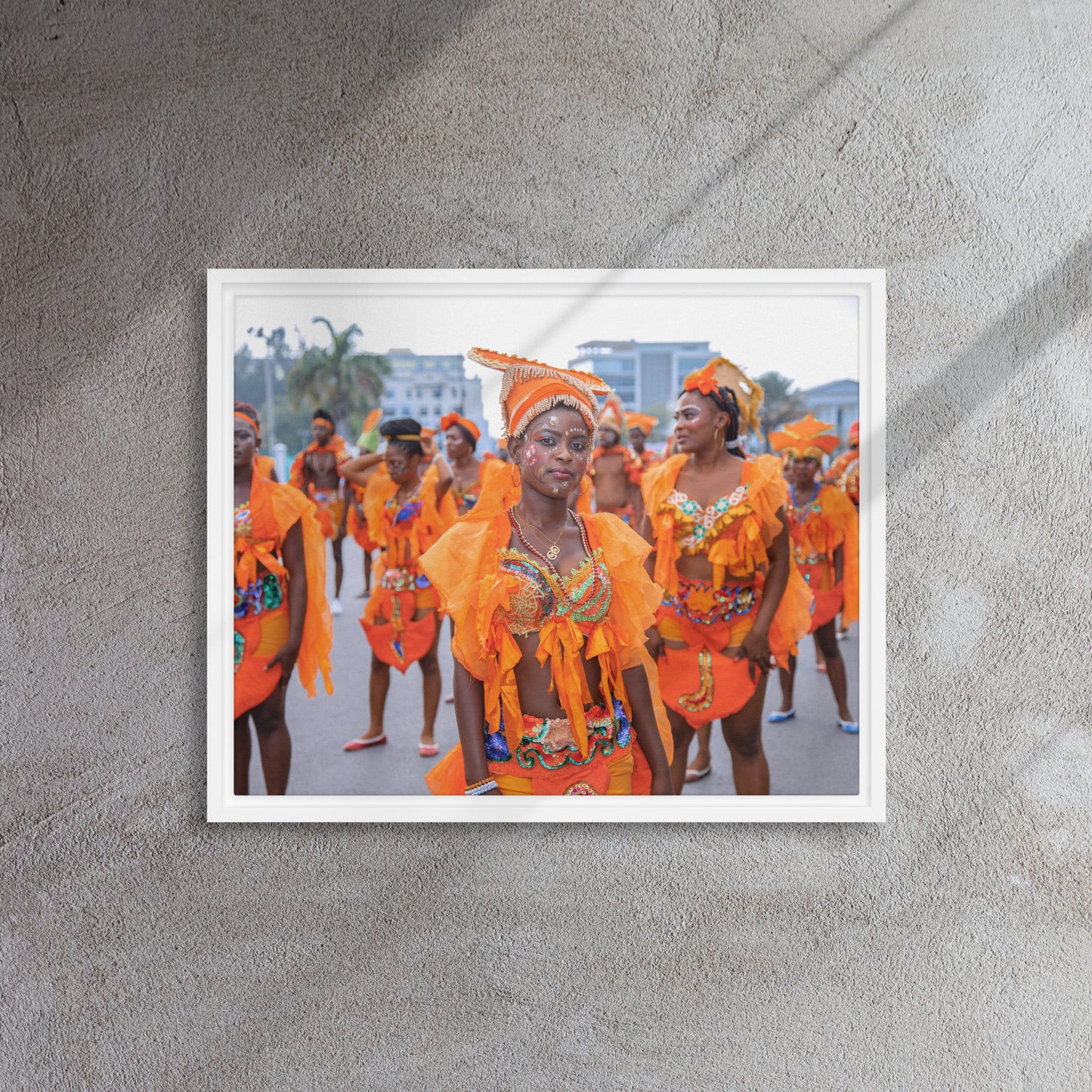 Framed canvas ( Haitian Carnival )