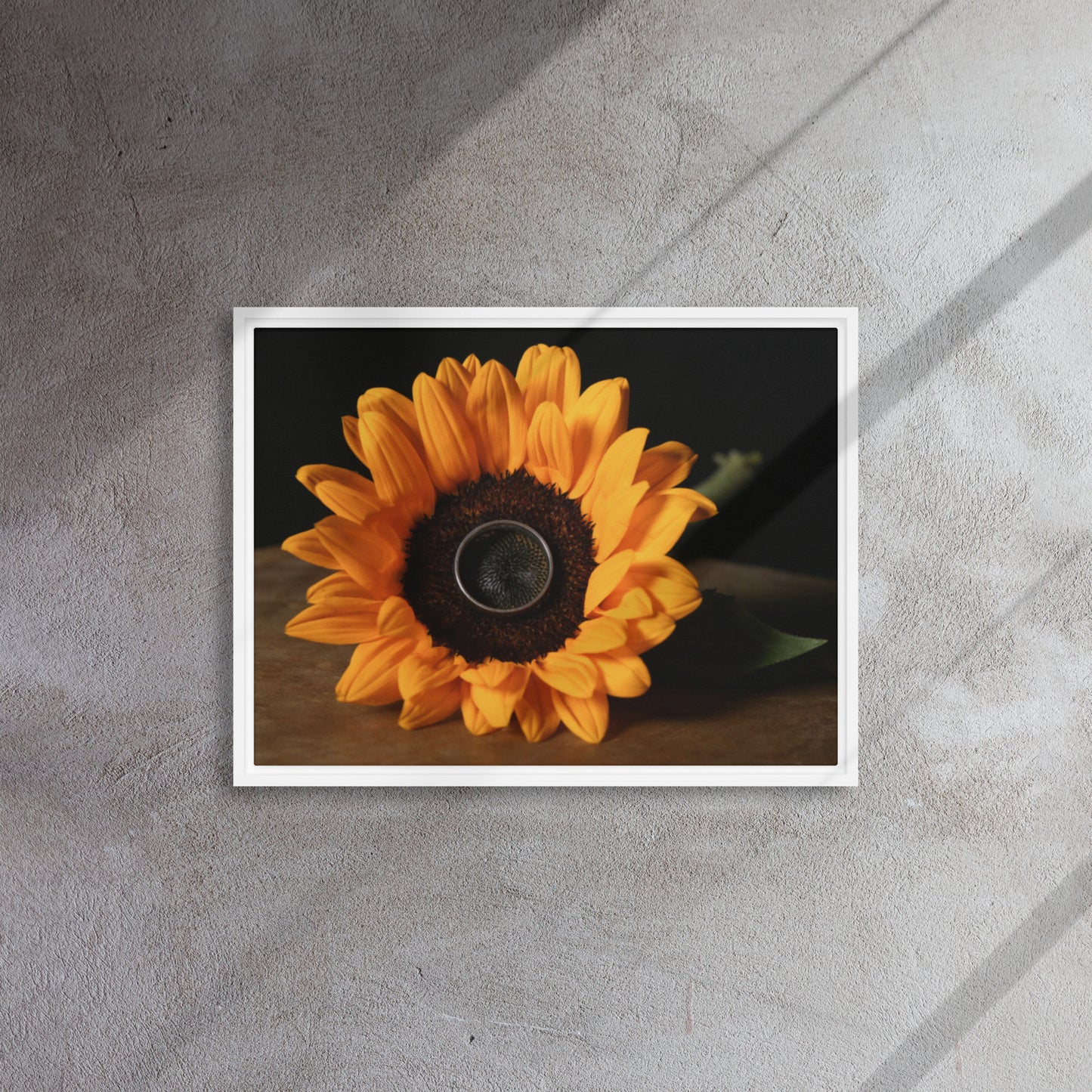 Framed canvas ( Sunflower )
