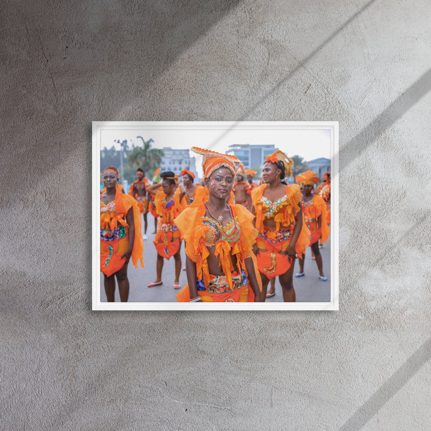 Framed canvas ( Haitian Carnival )