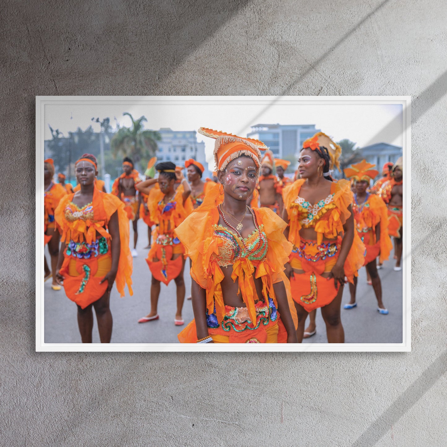 Framed canvas ( Haitian Carnival )