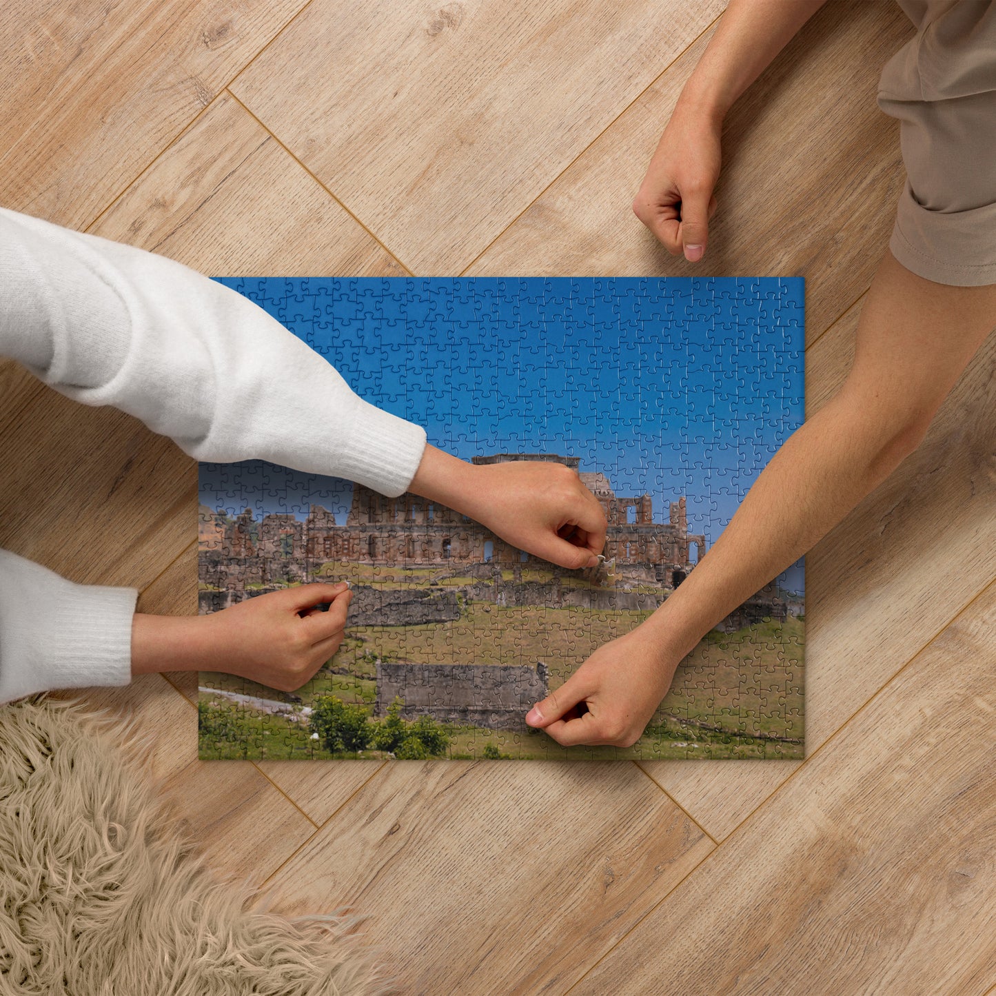 Puzzle ( Palais Sans Souci, Haïti )