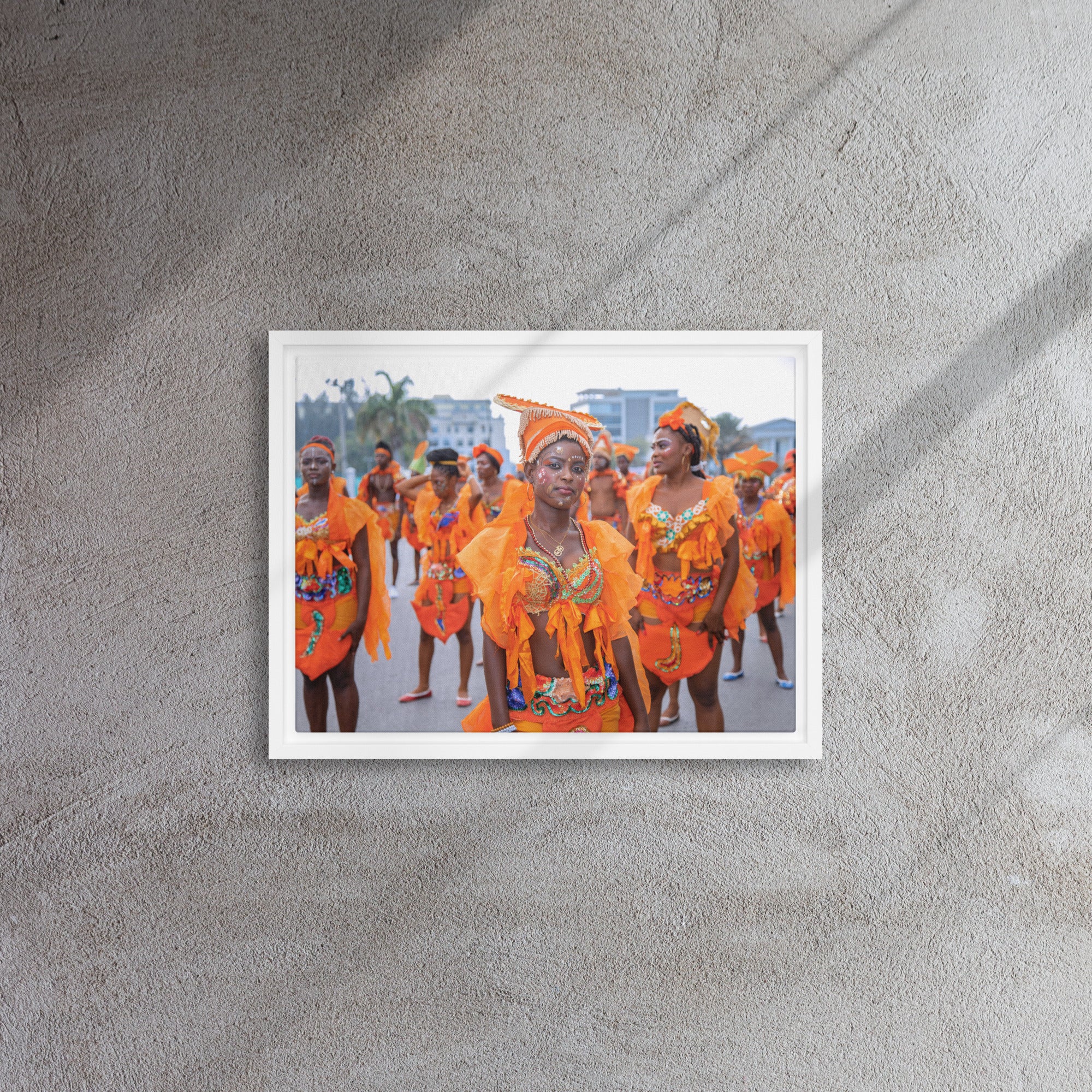 Framed canvas  ( Haitian Carnival )