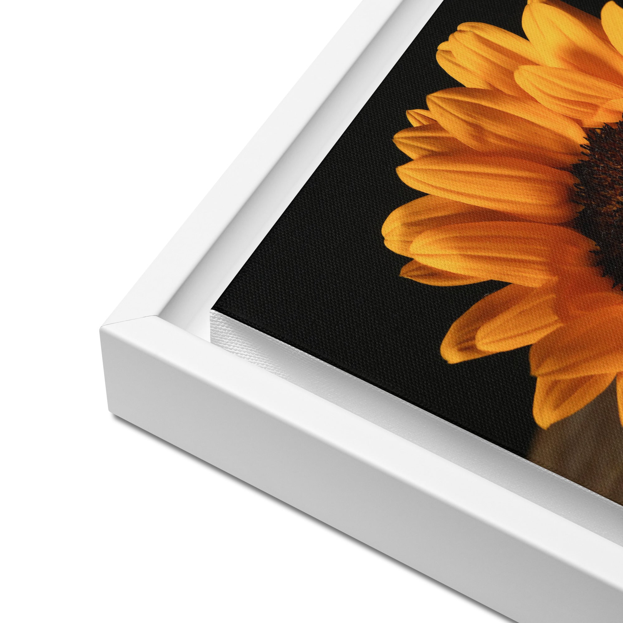 Framed canvas ( Sunflower )