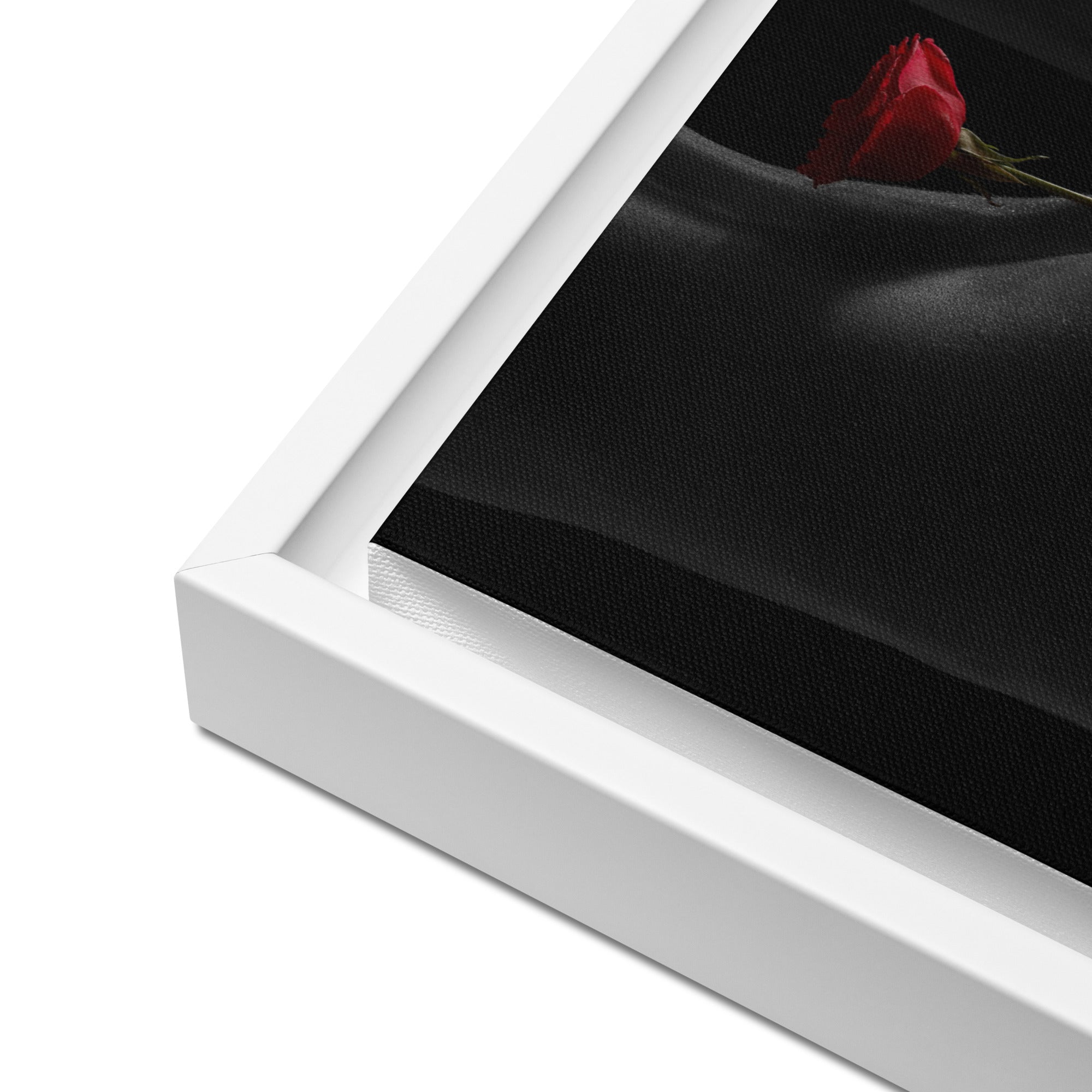 Framed canvas ( Fine Art, Nude Photography )