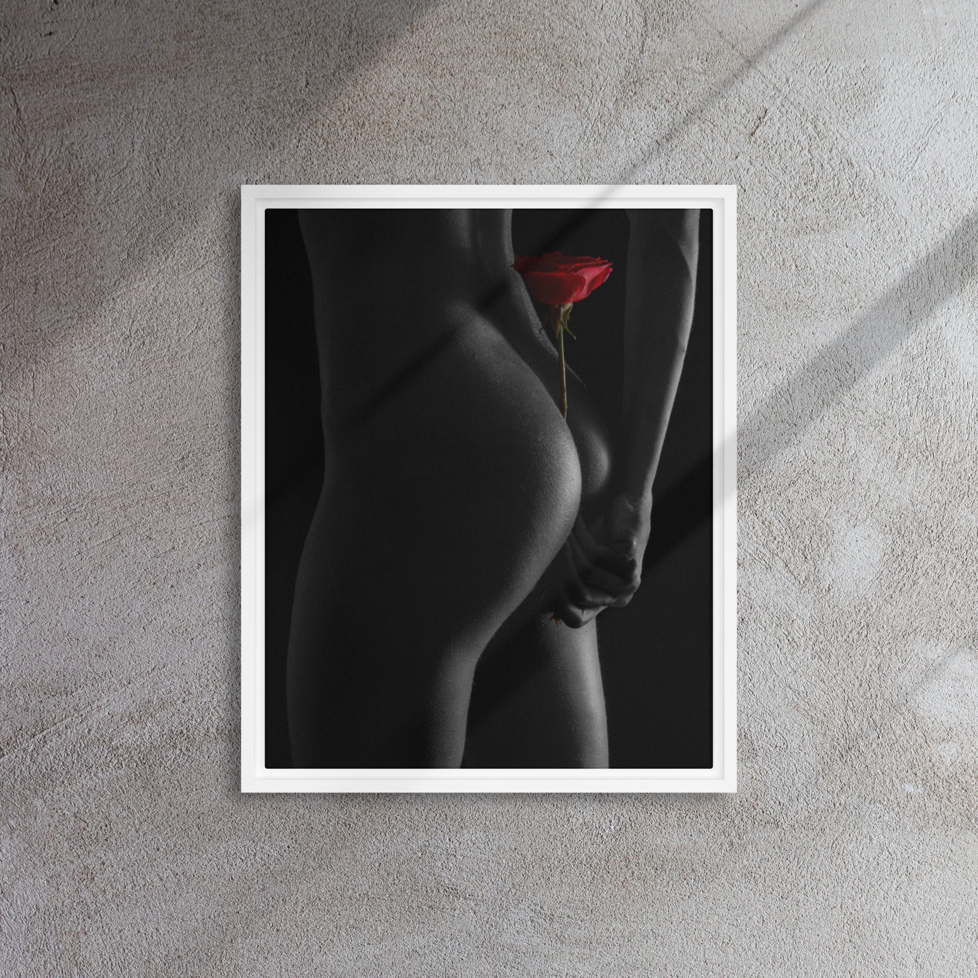 Framed canvas ( Fine Art, Nude Photography )
