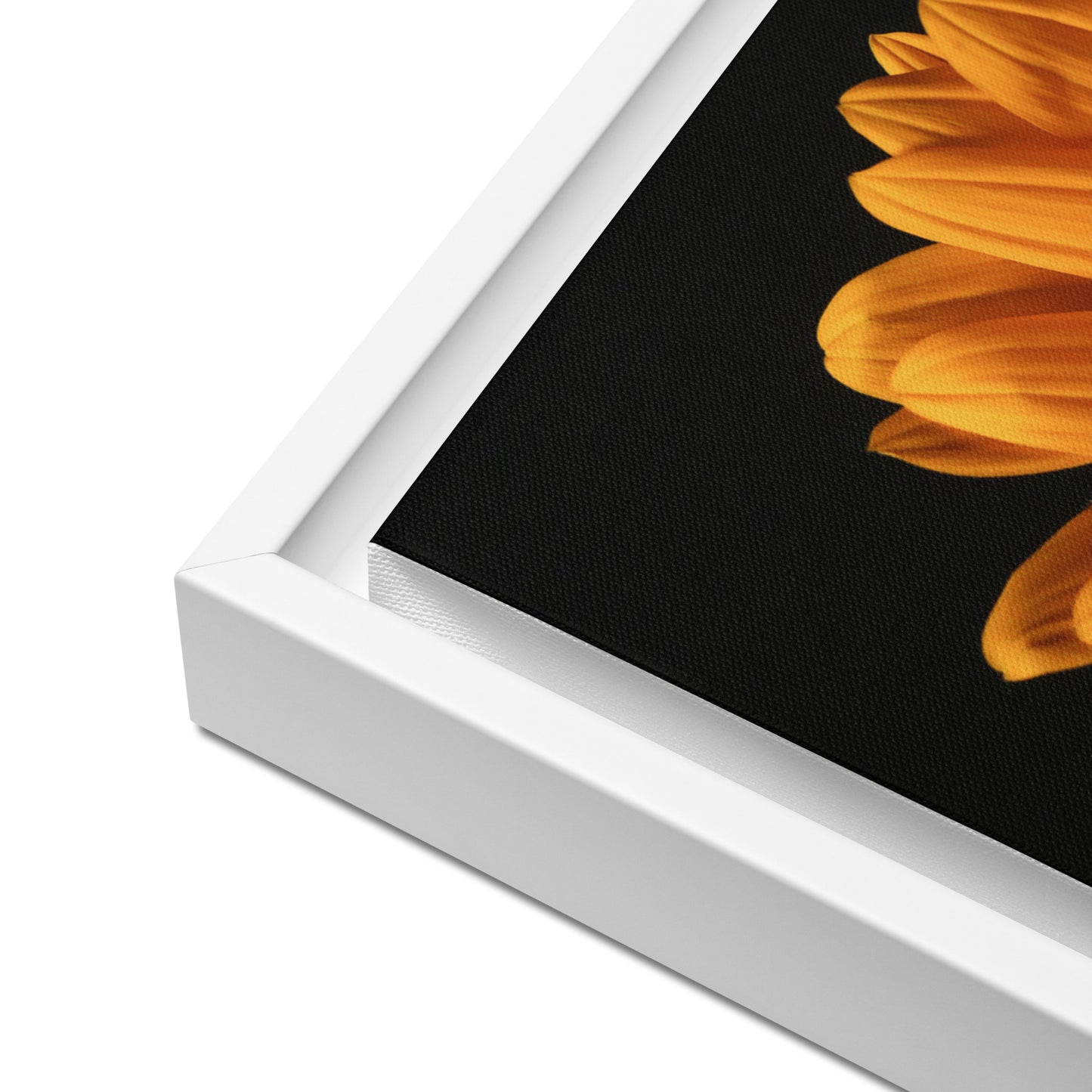 Framed canvas ( Sunflower )