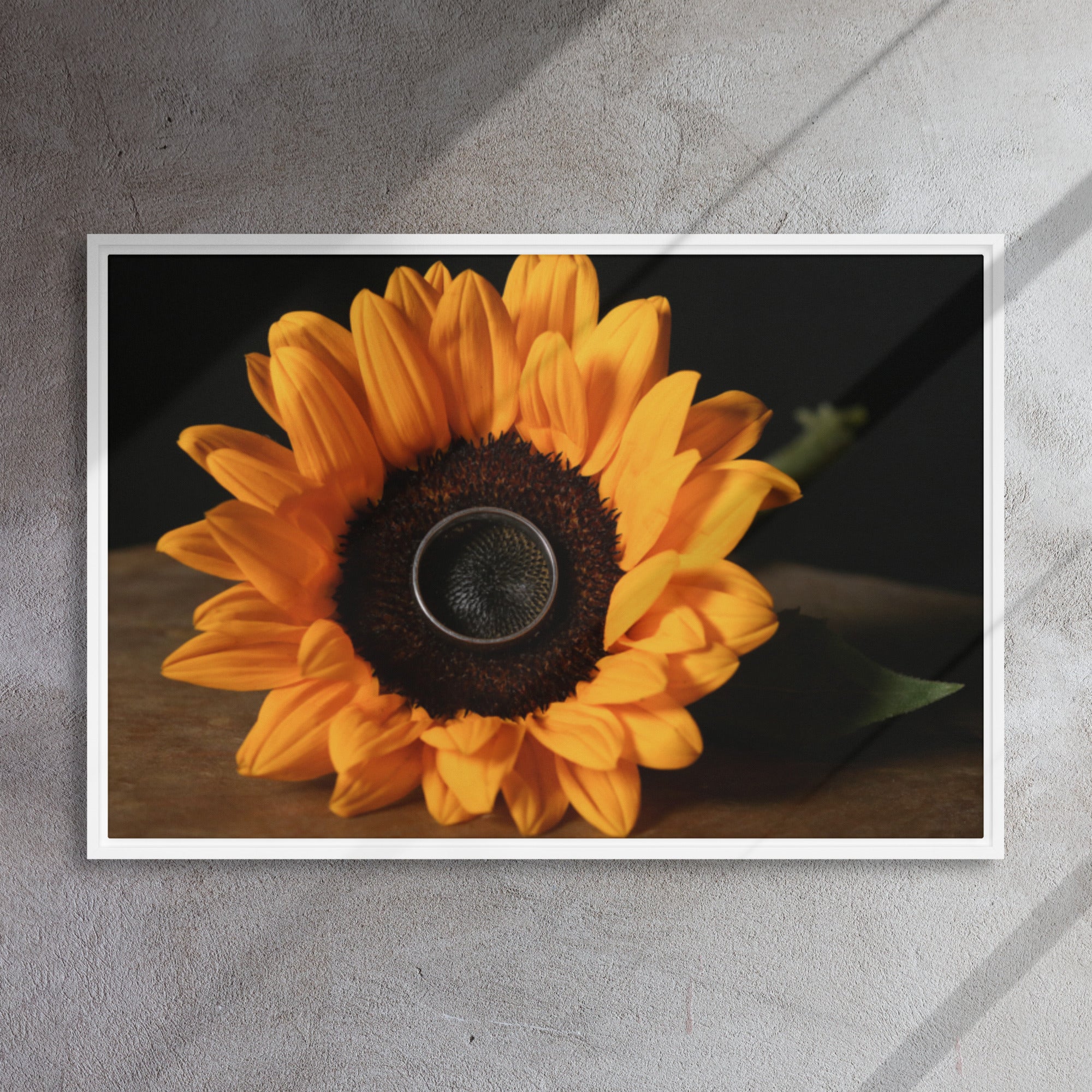 Framed canvas ( Sunflower )
