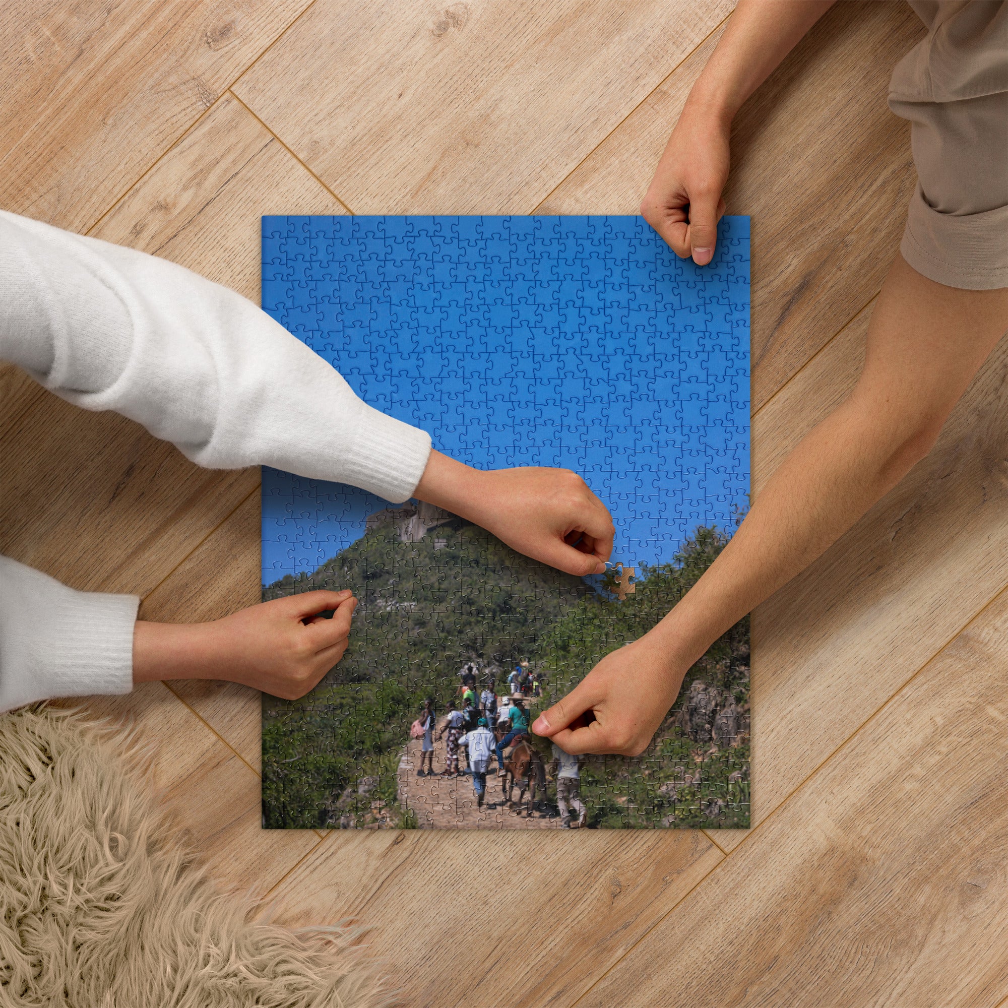 Puzzle ( Citadelle La Ferrière, Haiti )